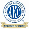 American Kennel Club