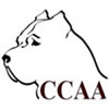 The Cane Corso Association of America (CCAA) is the official American Kennel Club (AKC) Parent Breed Club for the Cane Corso in the United States.
